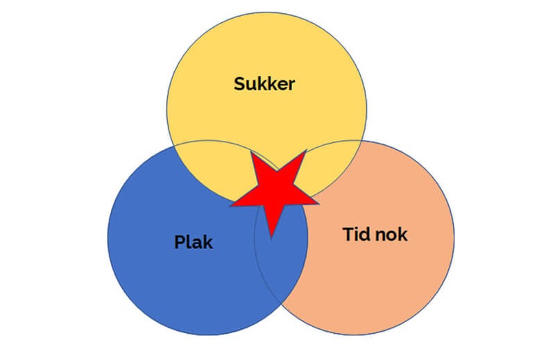 Læs guiden her